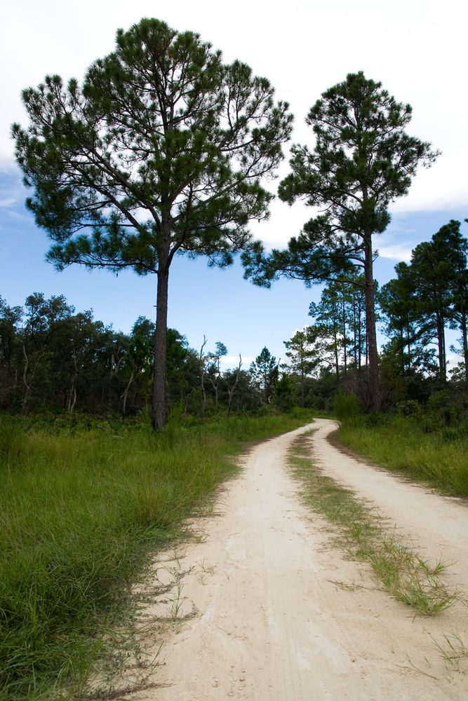 Chassahowitzka National Wildlife Refuge