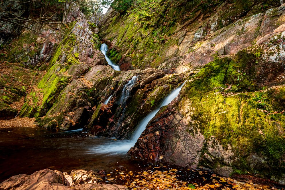 Picturesque view of Chequamegon-Nicolet National Forest