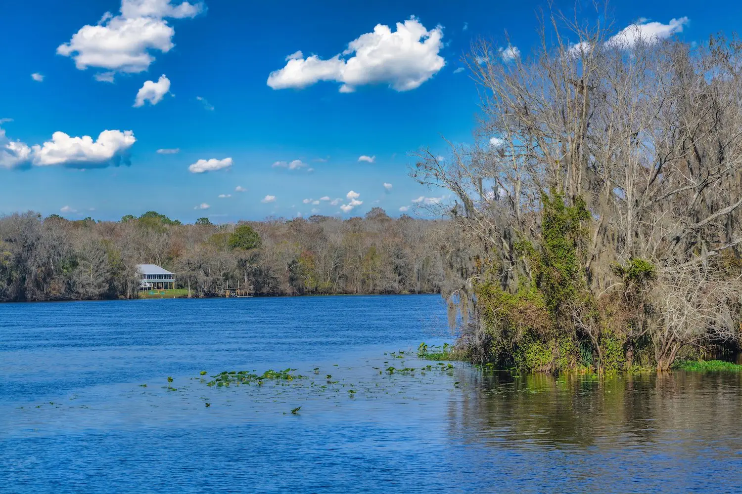 20 Best Things to Do in Chiefland, FL