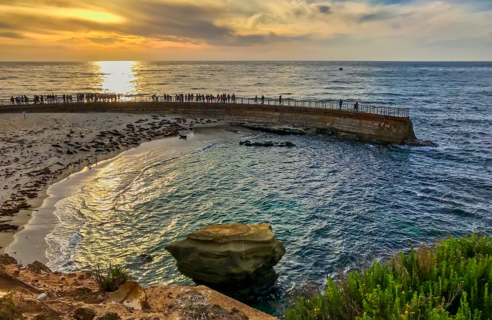 Tourists enjoying the sunset at Children's Pool La Jolla