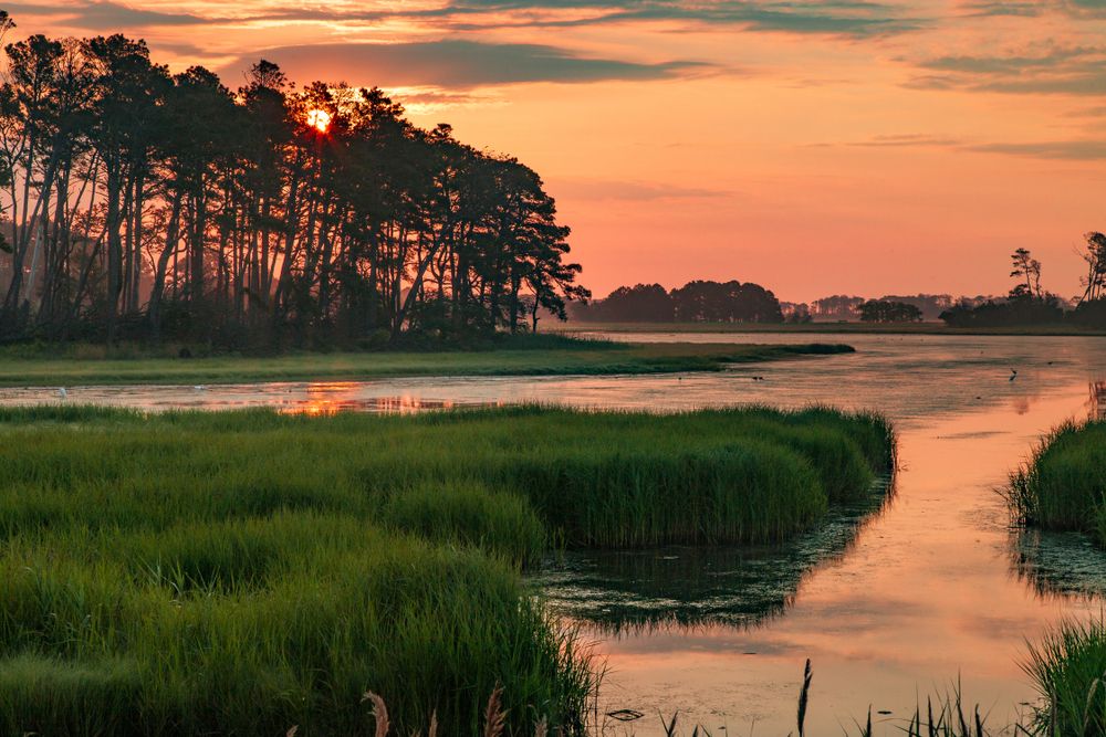 Vibrant sunset at Chincoteague National Wildlife Refuge