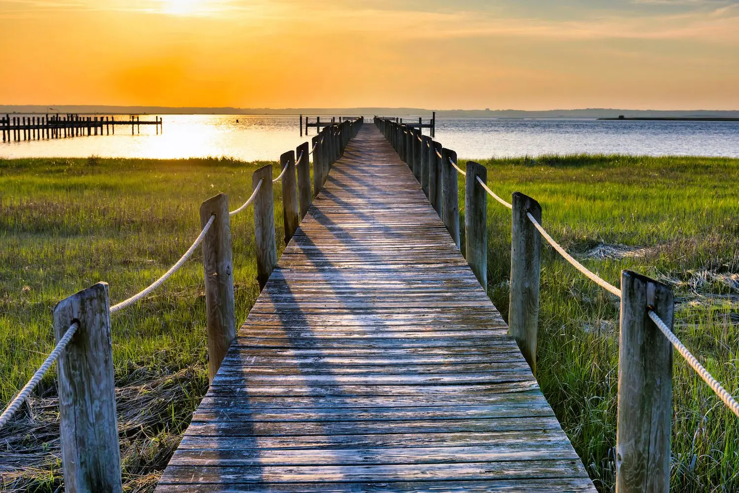 21 Best Things to Do in Chincoteague, VA