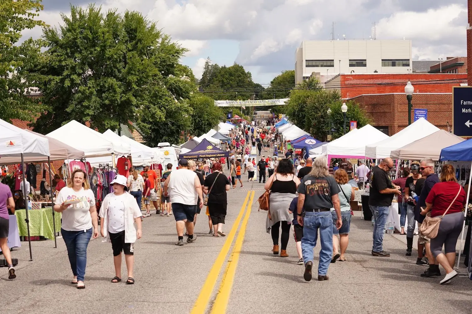 16 Best Things to Do in Christiansburg, VA