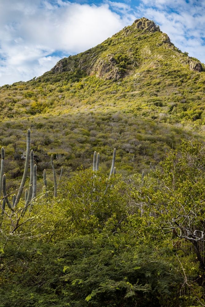Landscape of Christoffel National Park