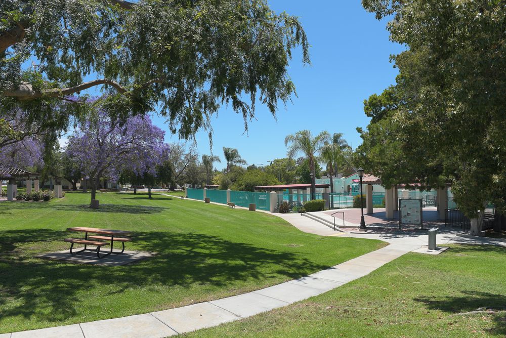 Daytime view of City Hall Park