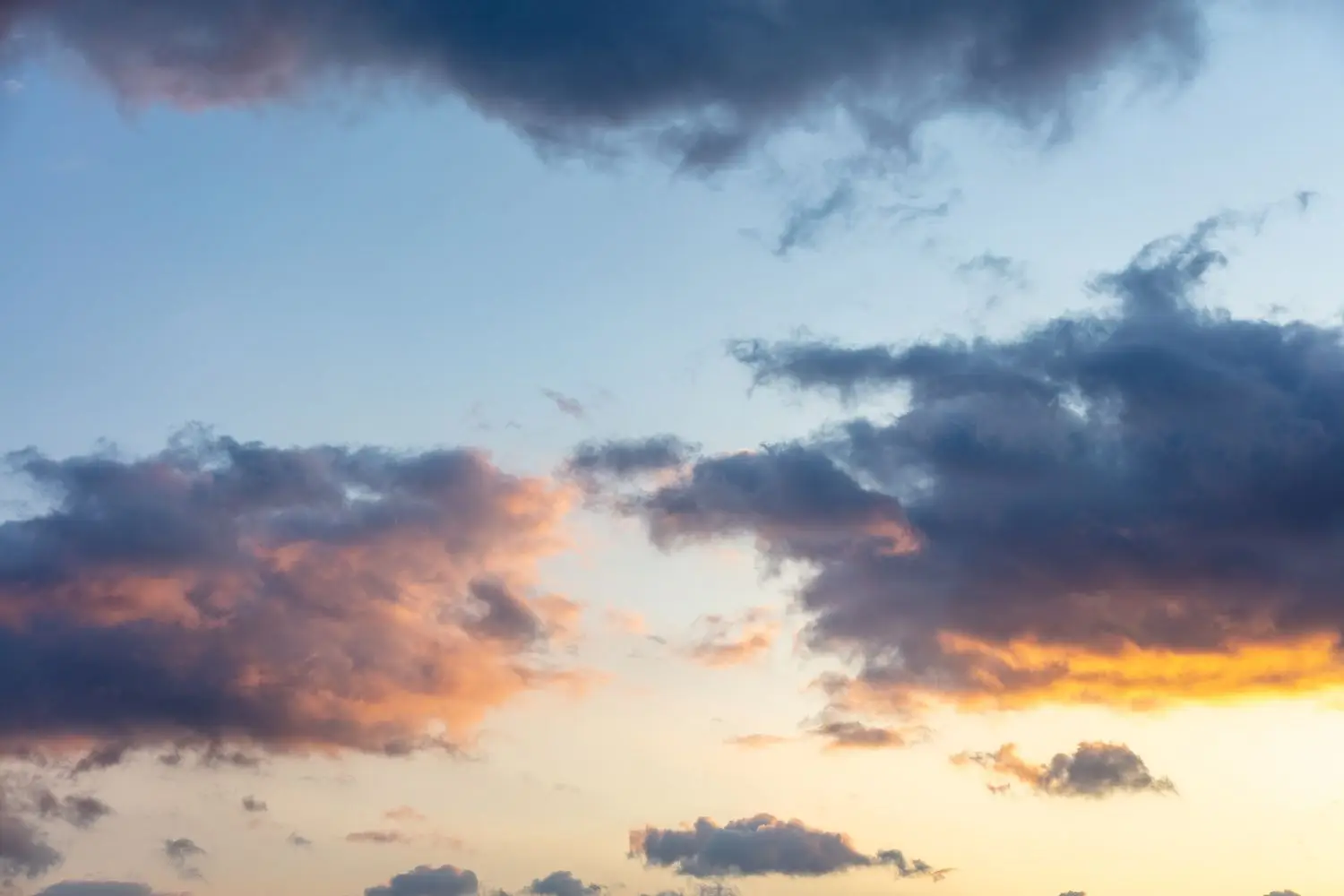 15 Best Things to Do in Clarkstown, NY