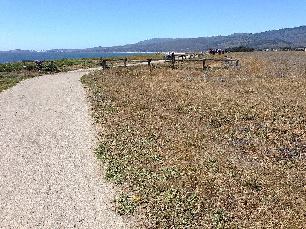Daytime view of Half moon bay Coastside Trail
