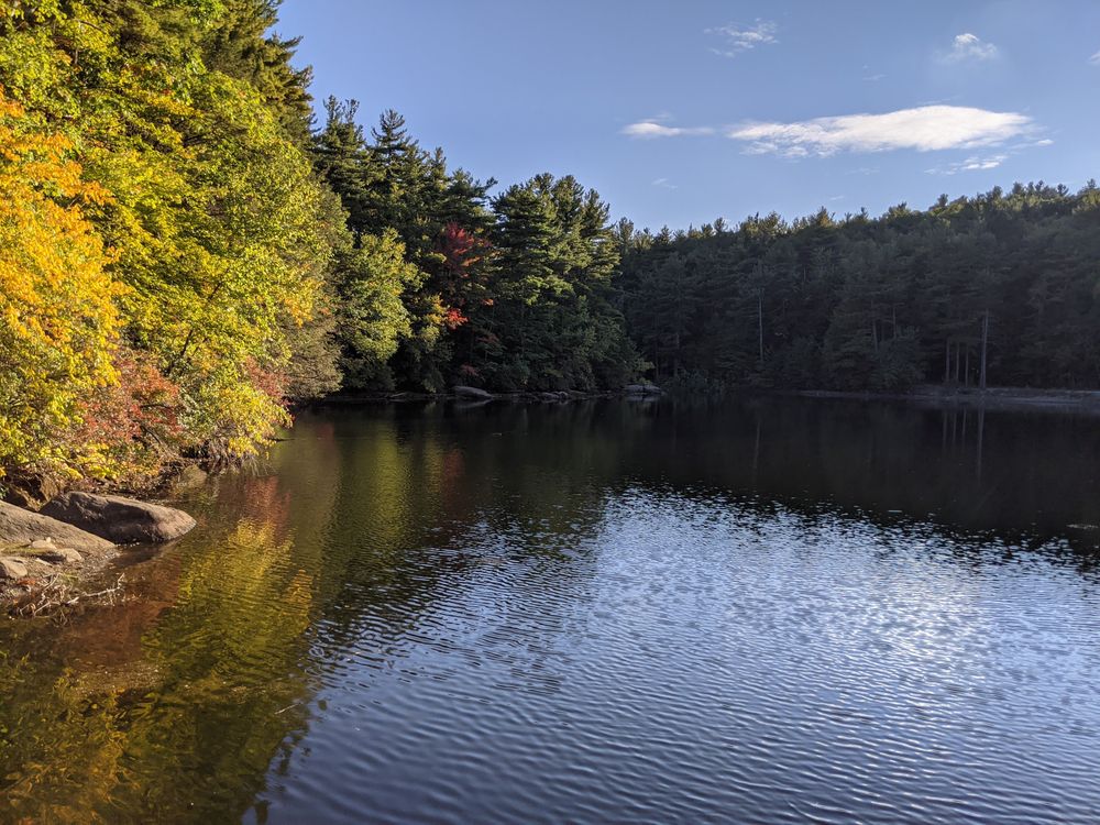 View of Coggshall Park