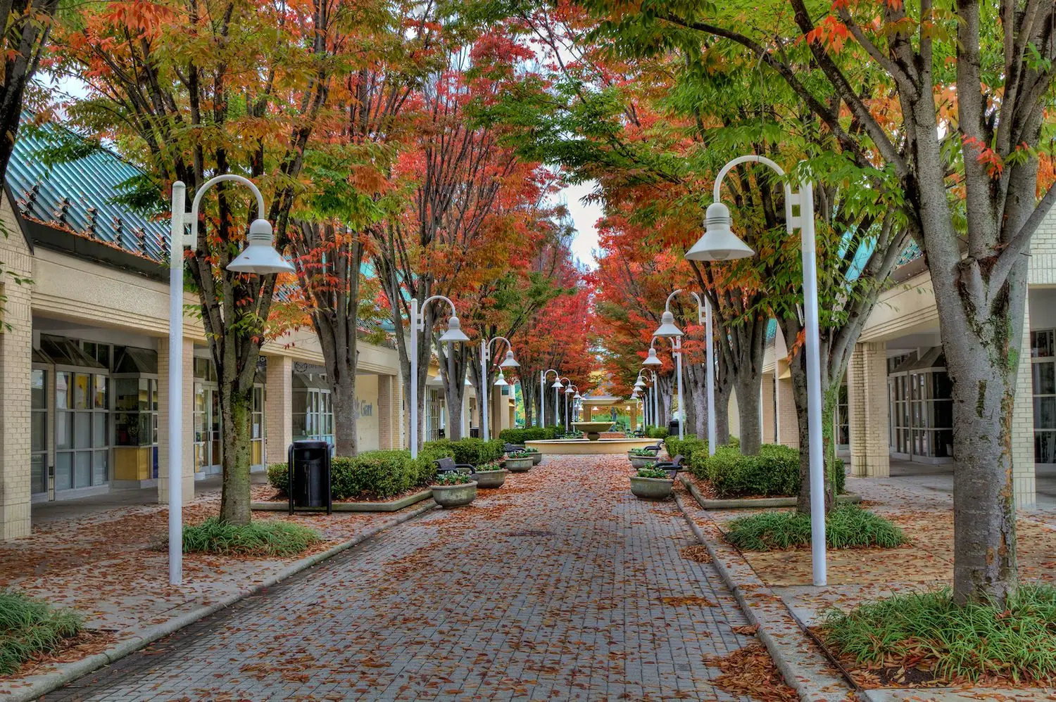 22 Best Things to Do in Columbia, MD