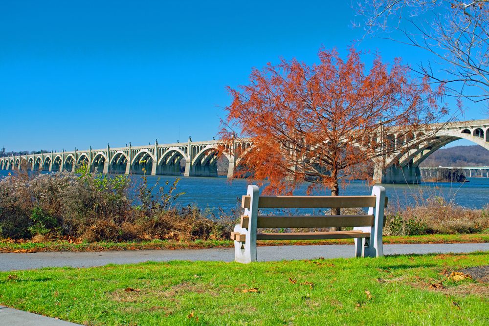 A bench overlooking the Columbia bridge at Columbia River Park