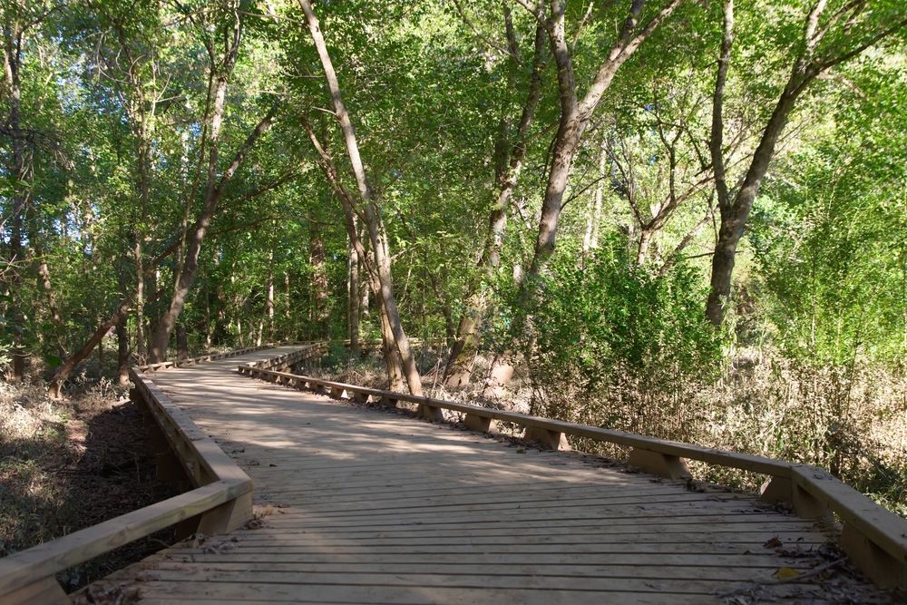 Boardwalk at the Conestee Nature Preserve