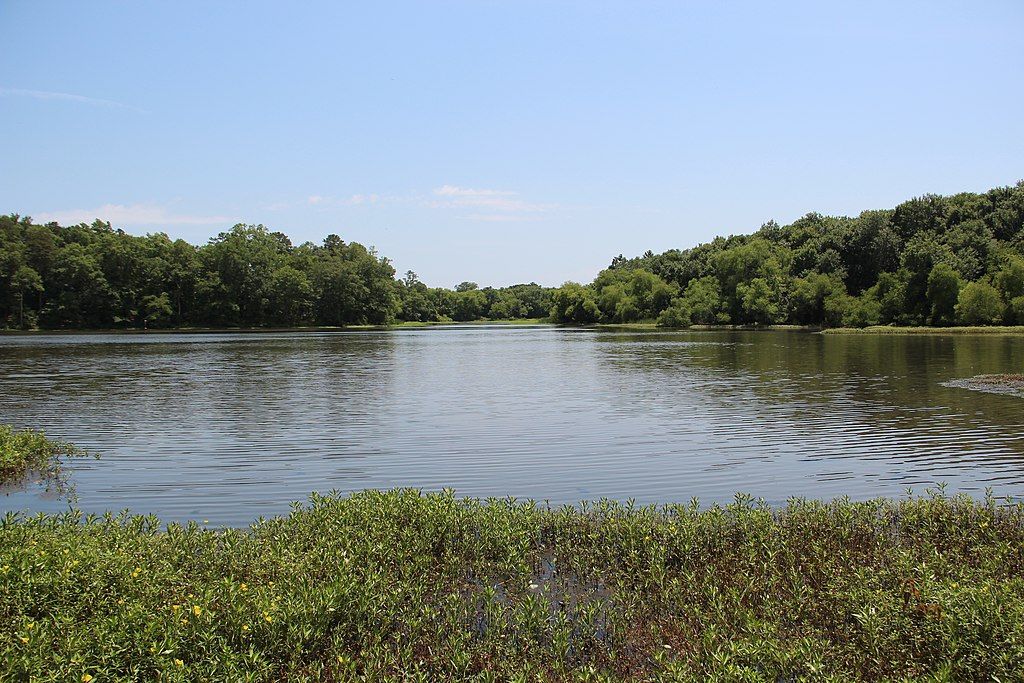 Lake at the Conestee Nature Preserve