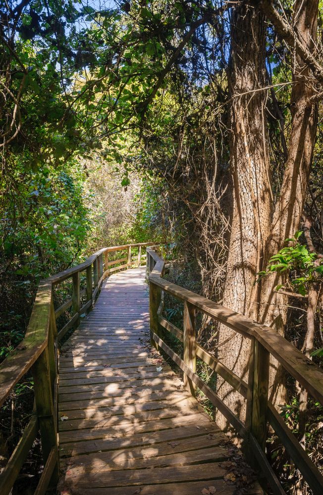 Congaree National Park