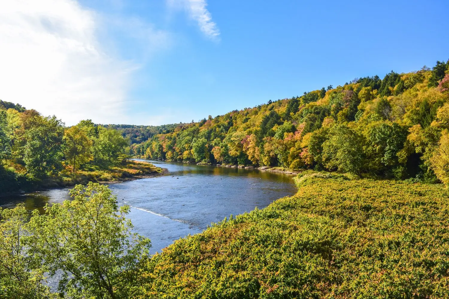 25 Best Things to Do in Cook Forest State Park, PA