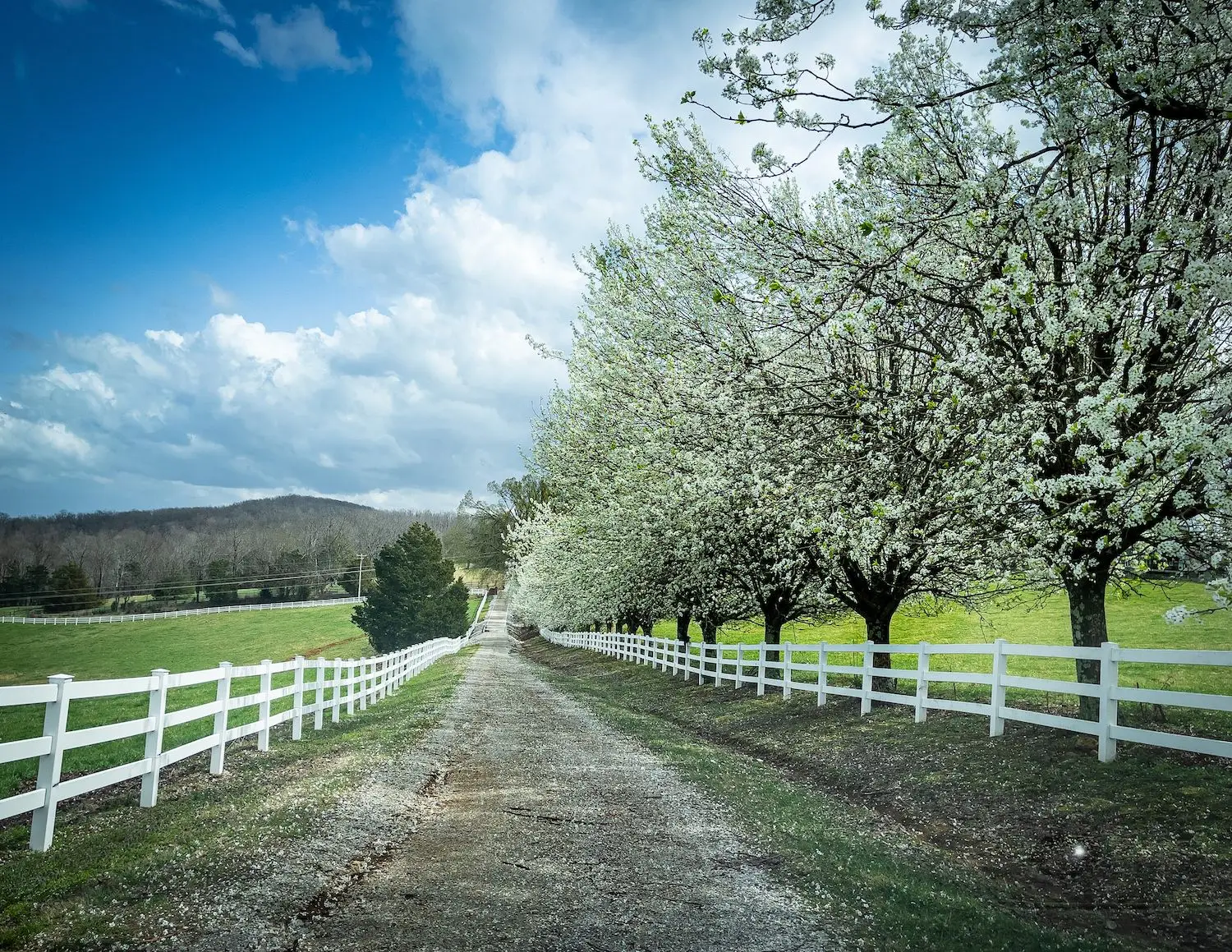 24 Best Things to Do in Cookeville, TN