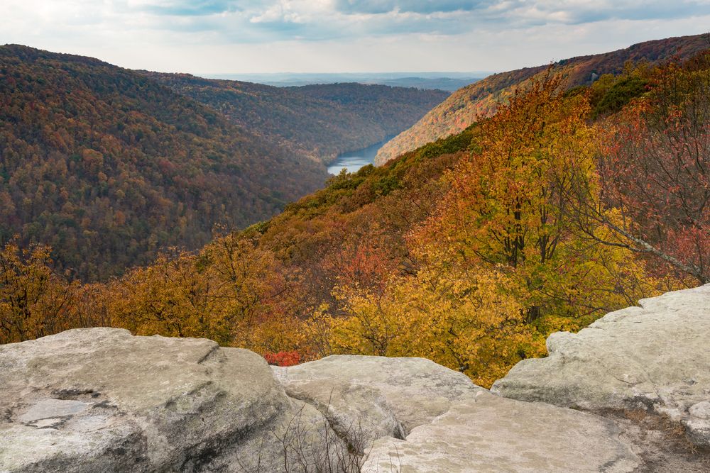 Scenic view from Coopers Rock State Forest