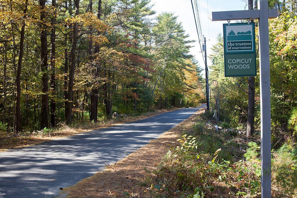 View of Copicut Woods