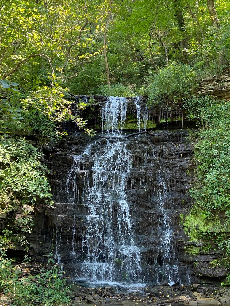 Beautiful waterfall at Cove Spring Park