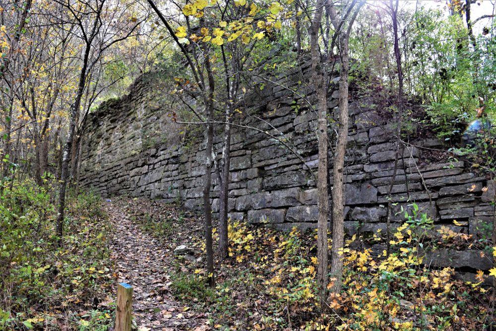 Nature trail at Cove Spring Park