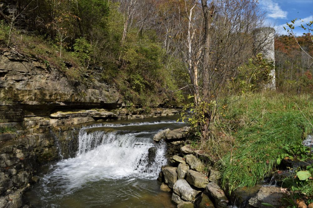 Running water at Cove spring park
