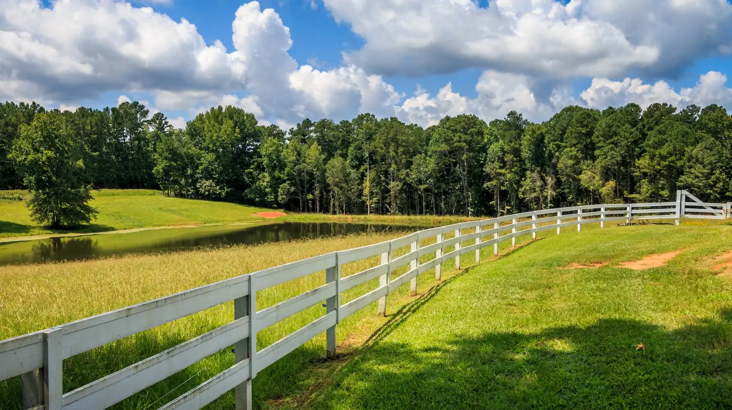 17 Best Things to Do in Coweta County, GA