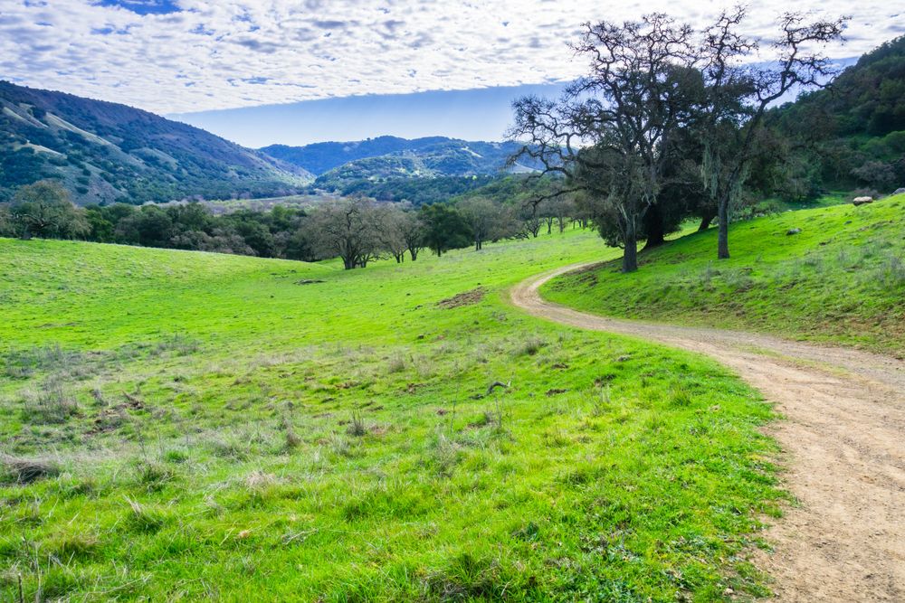 Nature trail at Coyote Lake Harvey Bear Ranch County Park