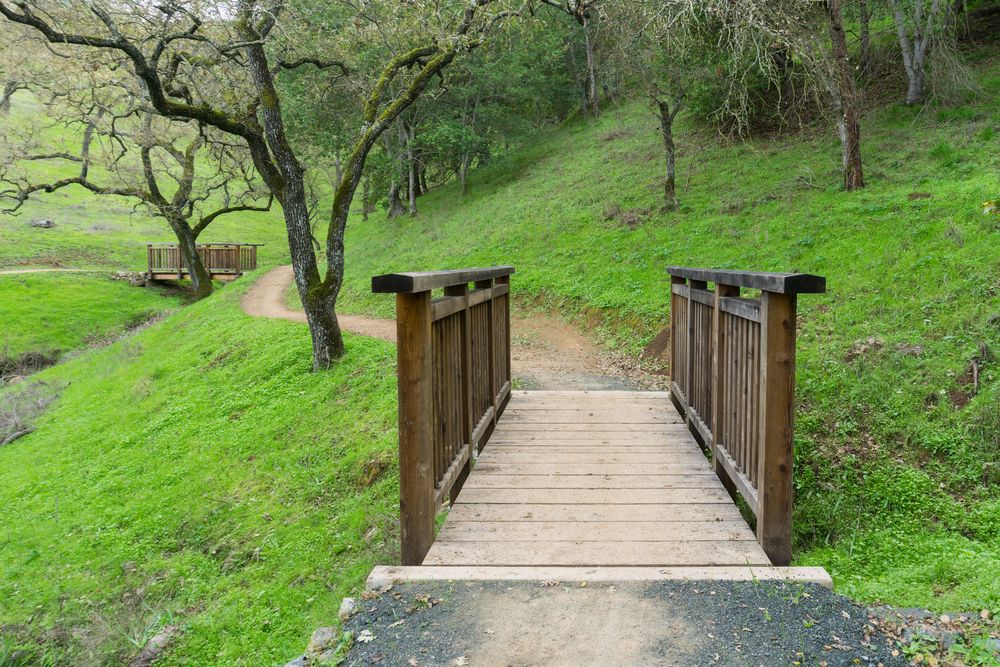 Trail at Coyote Valley Open Space Preserve