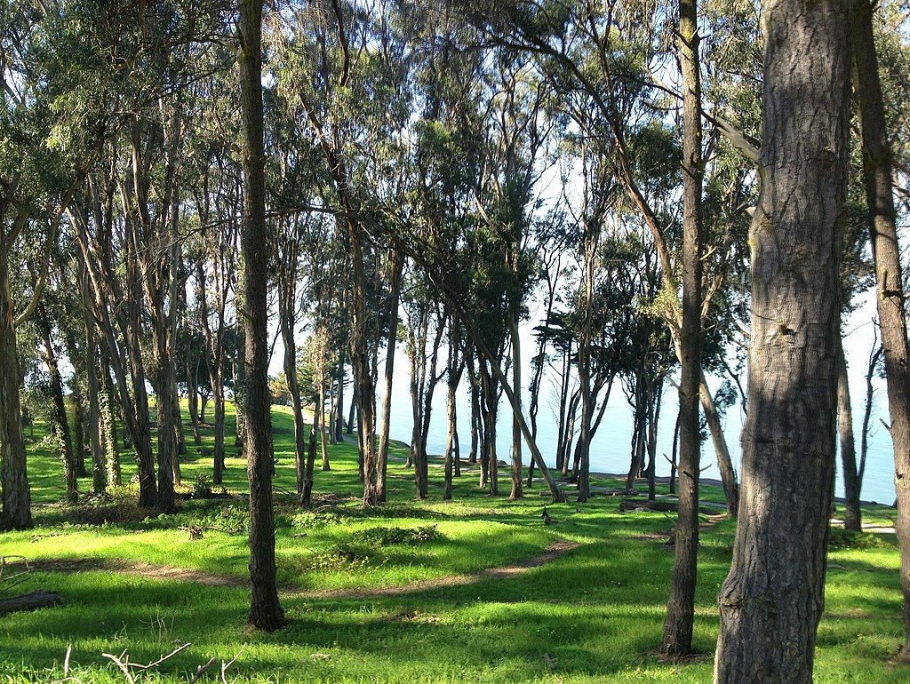 View of Coyote Point Recreation Area