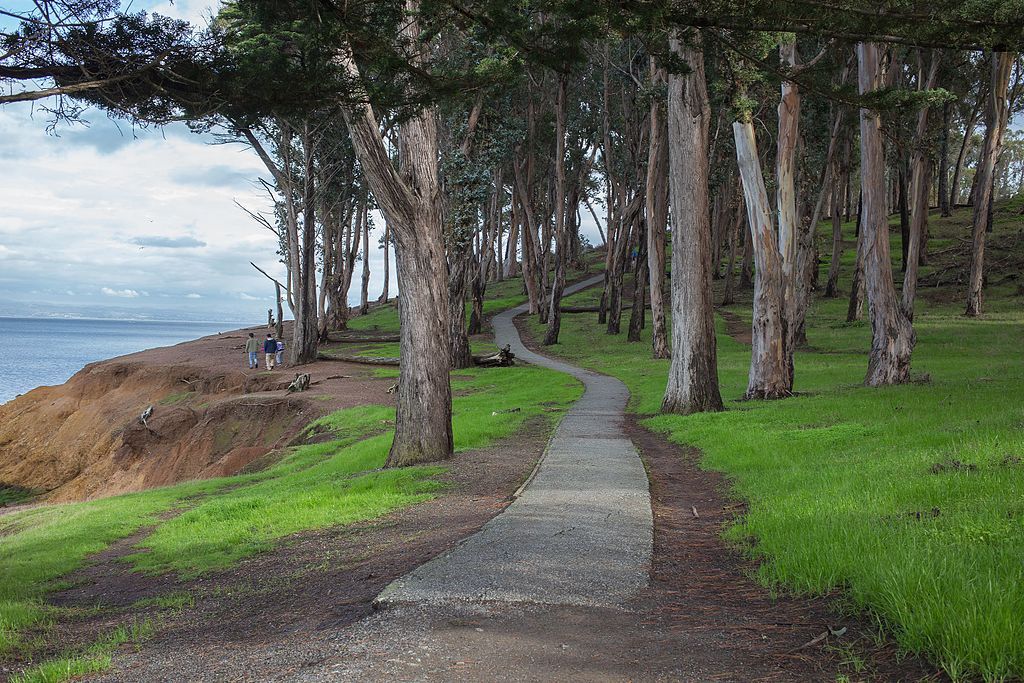 View of Coyote Point Recreation Area
