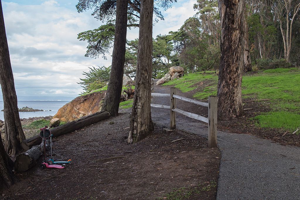 View of Coyote Point Recreation Area