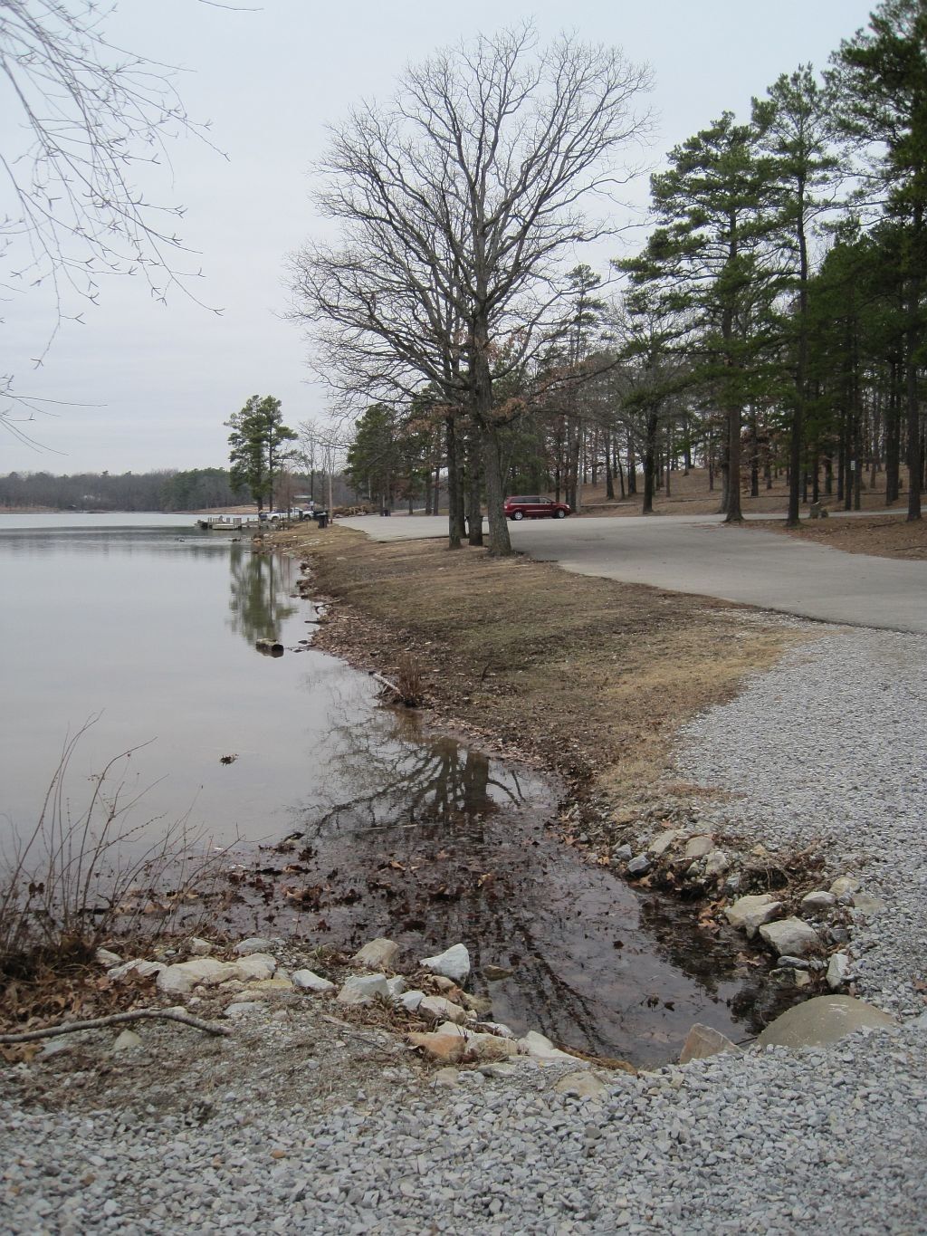 View of Craighead Forest Park