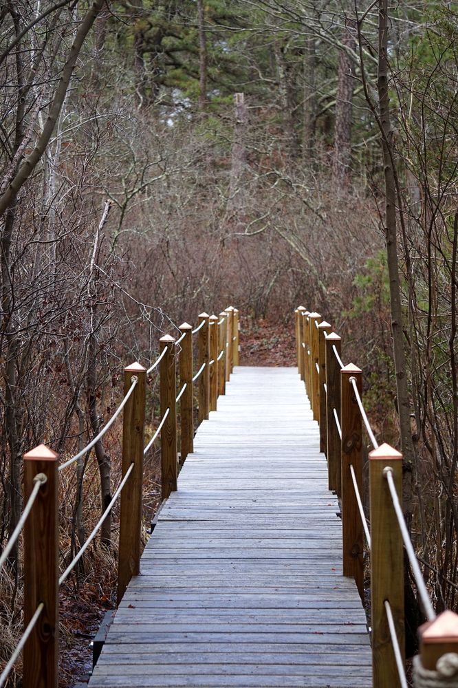 Narrow pedestrian bridge at Cranberry Bog
