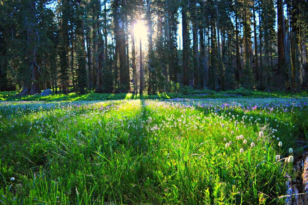 Beautiful sunrise at Crescent Meadow