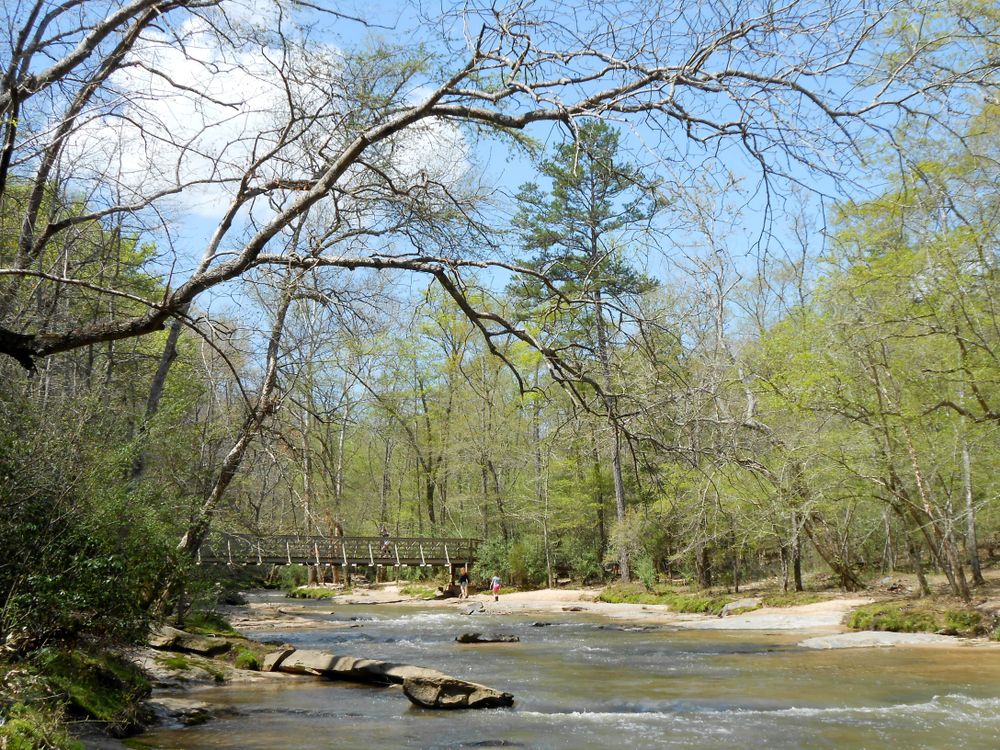 River flowing in Croft State Park
