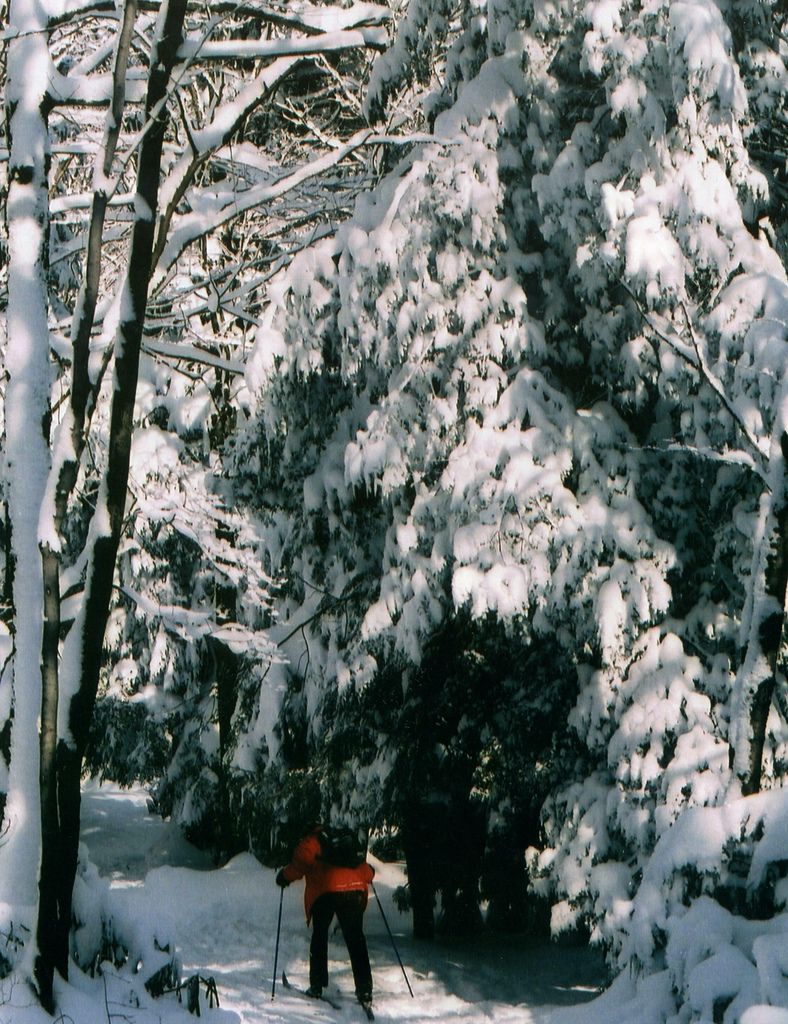 View of Kooser State Park