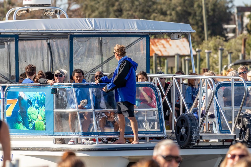 Cruise in Tarpon