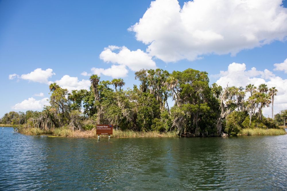 Crystal River National Wildlife Refuge
