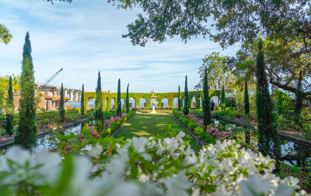 Flowers in the garden at Cummer Museum of Art and Gardens