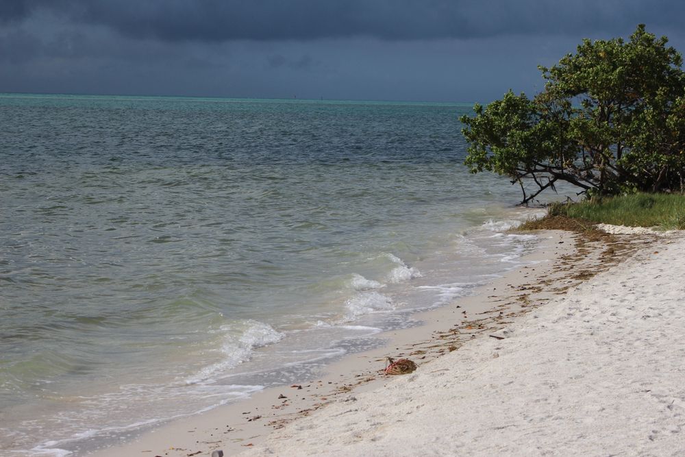 Waves hitting the shores at the Curry Hammock State Park