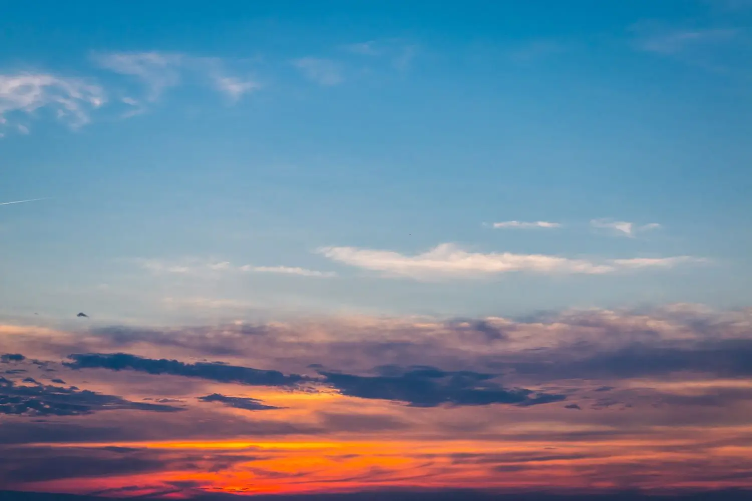 20 Best Things to Do in Darlington, SC