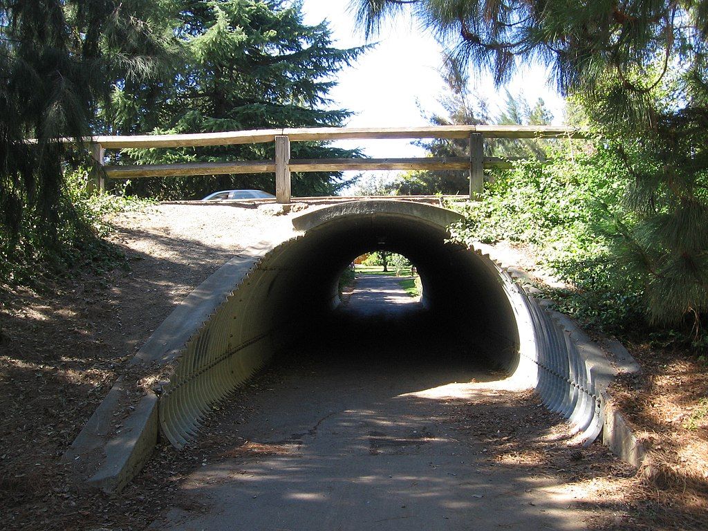 Small tunnel at Davis Greenbelt