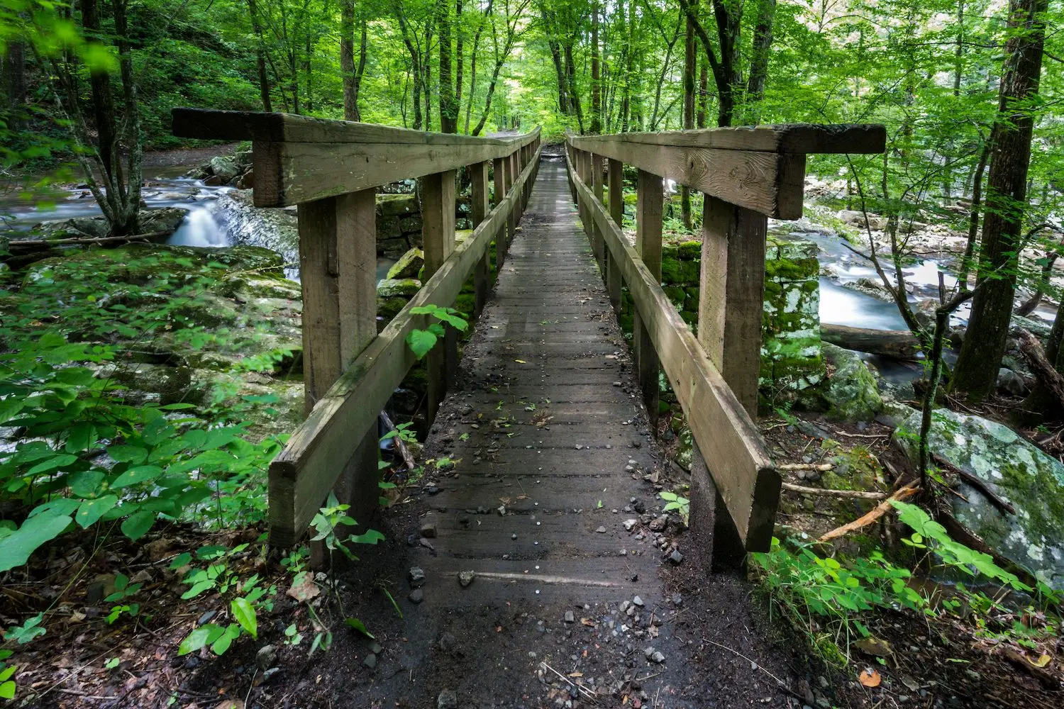 15 Best Things to Do in Dayton, TN