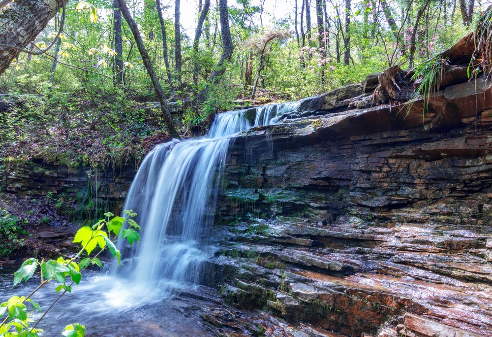 Close up of Laurel fall at DeSoto Park