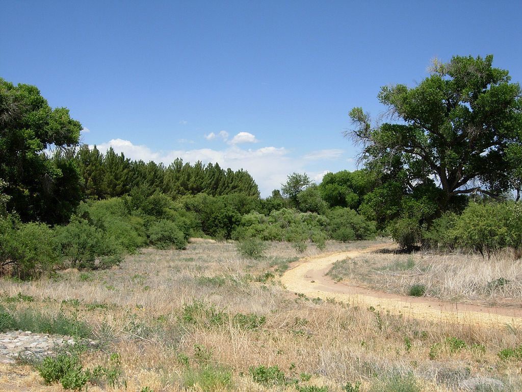 Trail at Dead Horse Ranch State Park