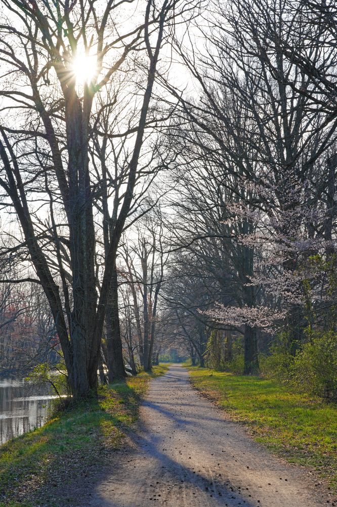 Trail along the Delaware & Raritan Canal State Park