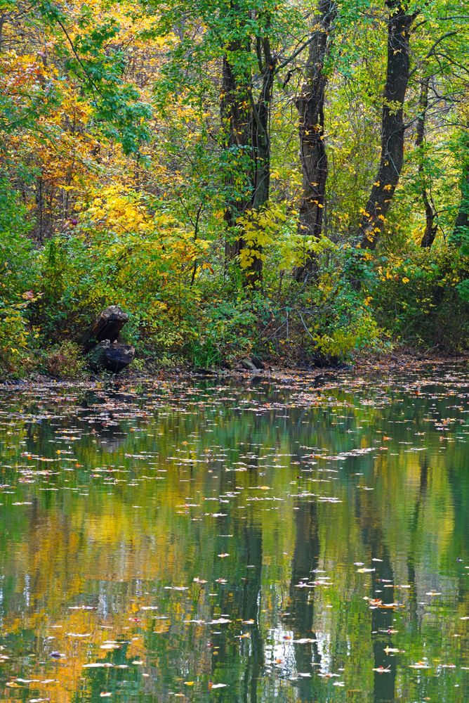 Scenic view of the Delaware & Raritan Canal State Park