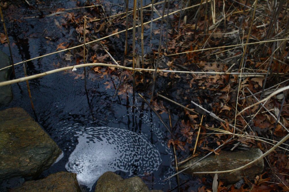 Water flowing into a small creek at Demarest Lloyd State Park