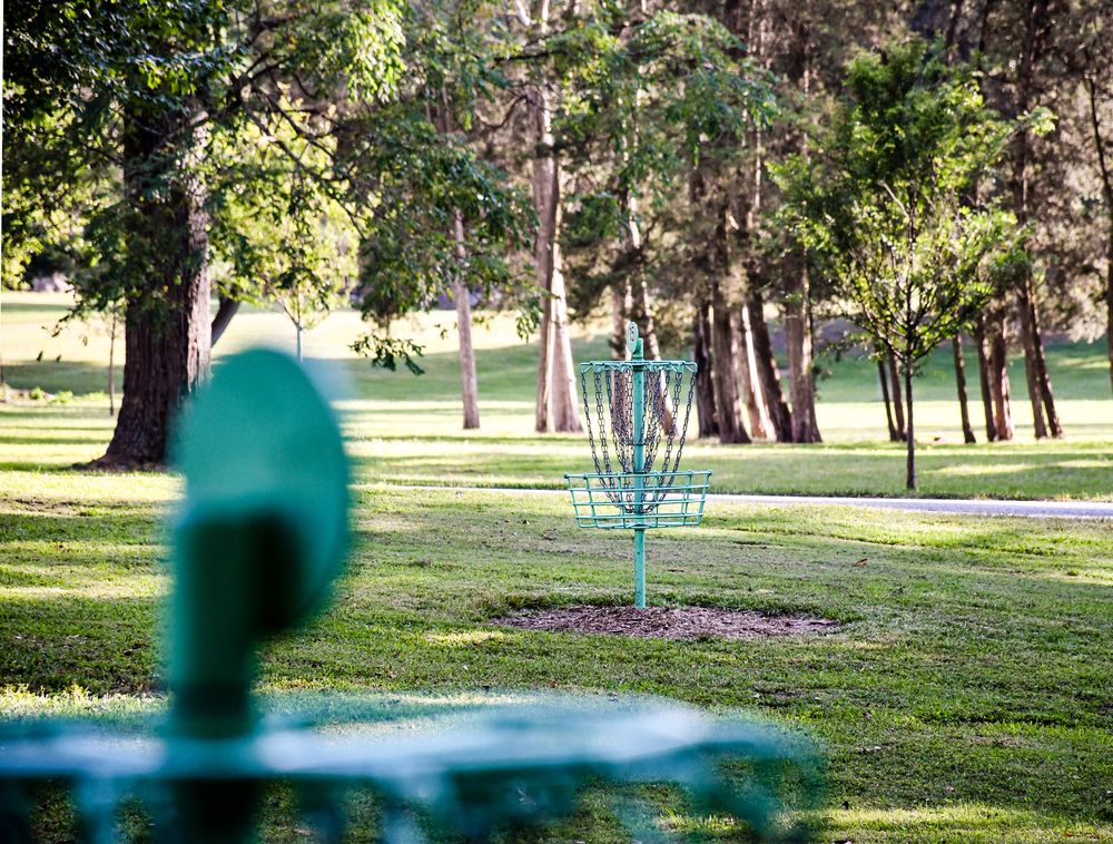 Disc golf at Deming Park