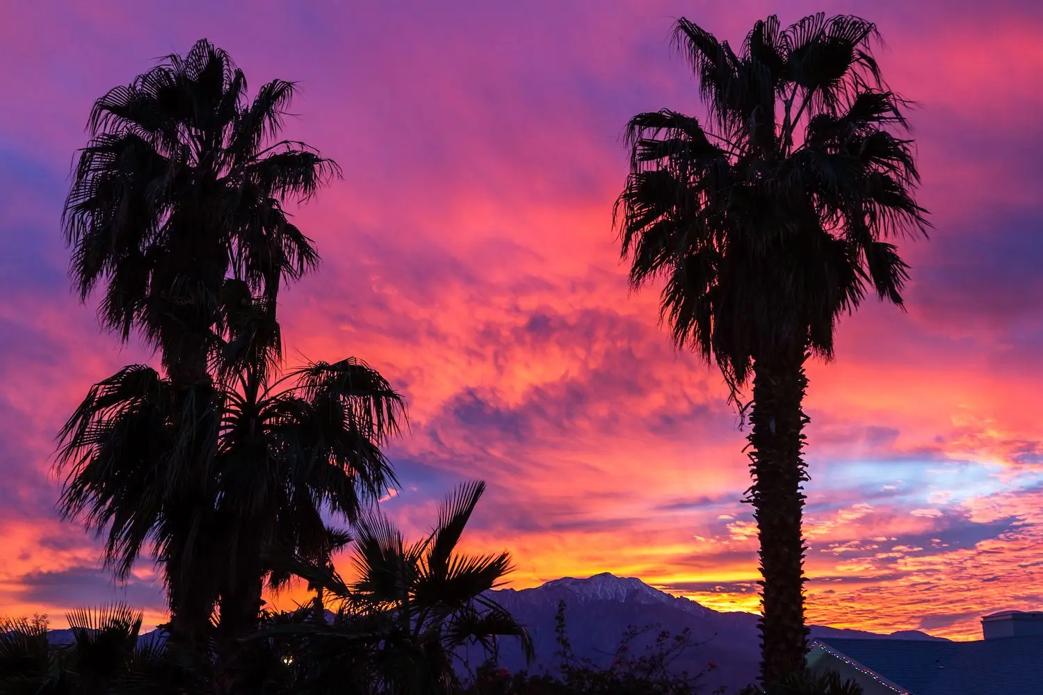 15 Best Things to Do in Desert Hot Springs, CA