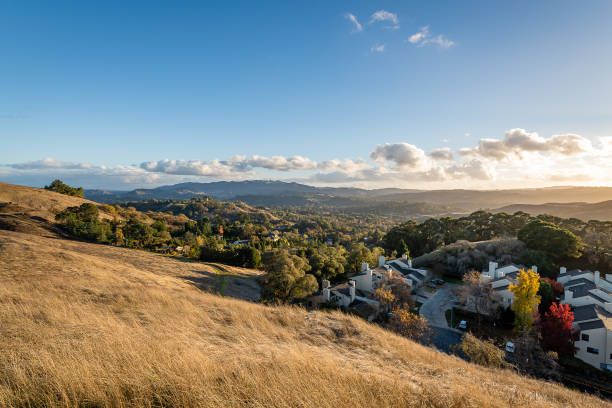 Diablo Foothills Regional Park on a sunny day
